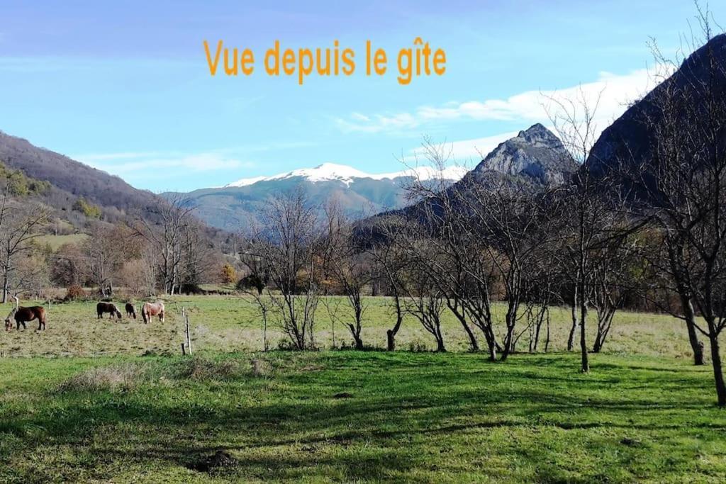 Grange En Pierres. Grand Jardin Et Belle Vue Villa Saurat Dış mekan fotoğraf