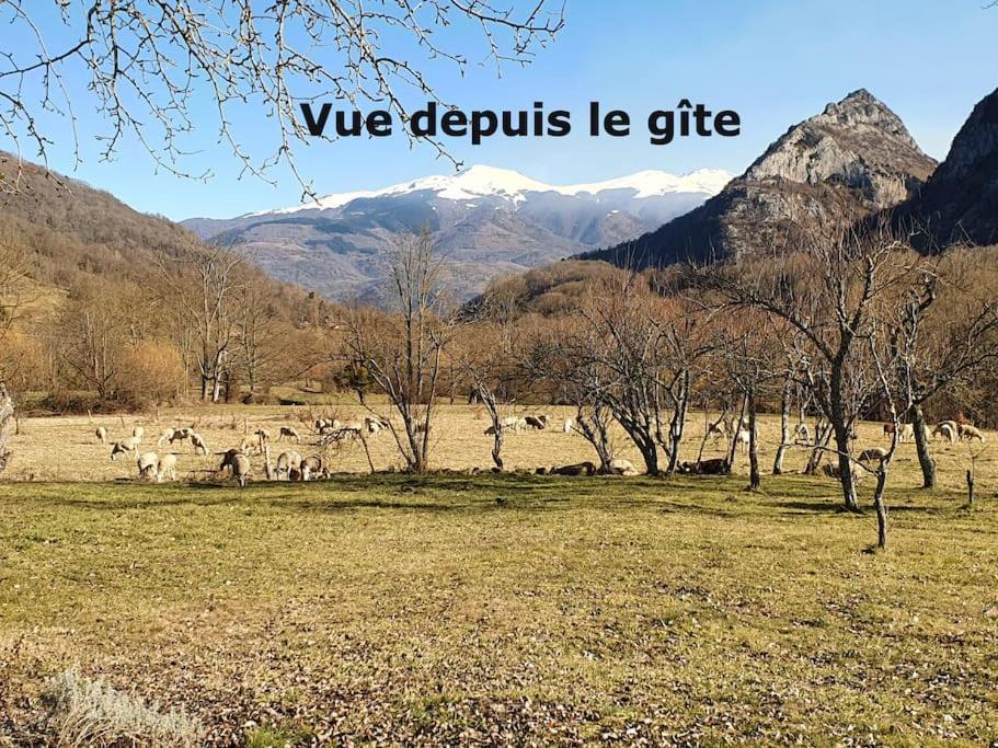 Grange En Pierres. Grand Jardin Et Belle Vue Villa Saurat Dış mekan fotoğraf