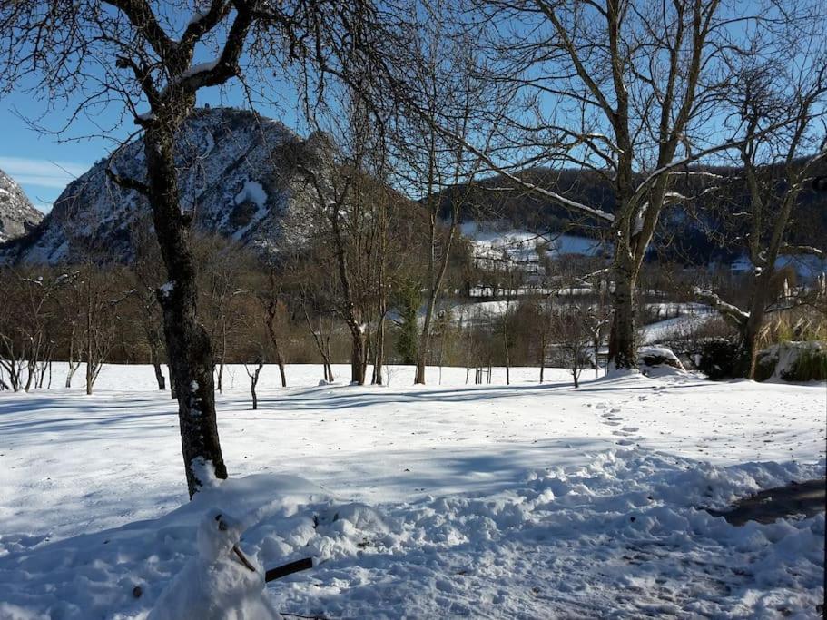 Grange En Pierres. Grand Jardin Et Belle Vue Villa Saurat Dış mekan fotoğraf